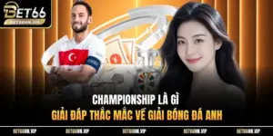 Championship Là Gì Giải Đáp Thắc Mắc Về Giải Bóng Đá Anh