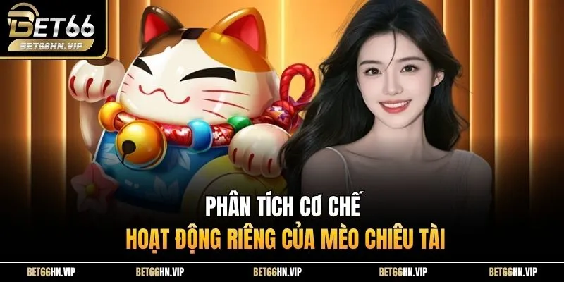 Phân tích cơ chế hoạt động riêng của mèo chiêu tài